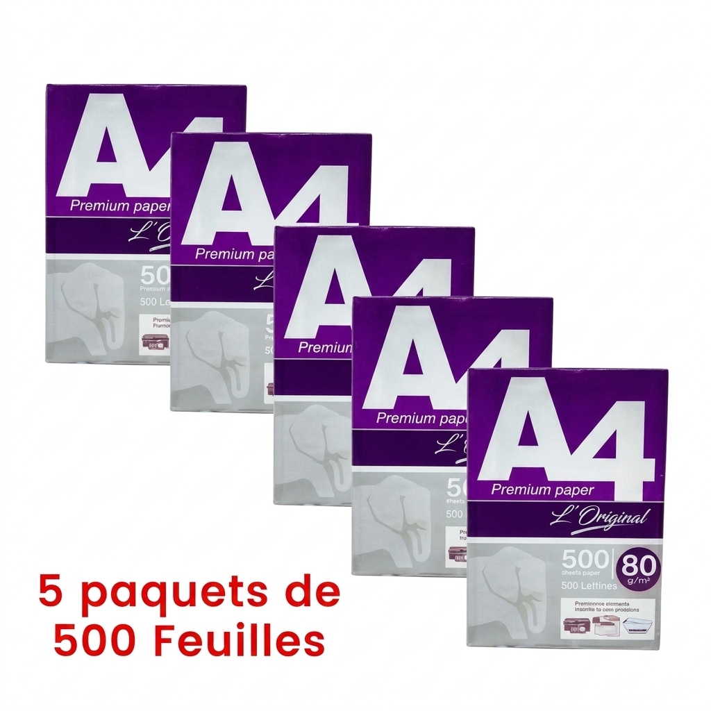 Carton de 5 Rames de Papier A4 80g